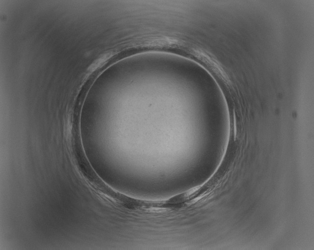 X0000051250483200506171139