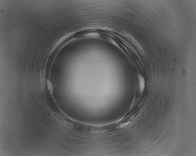 X0000051250484200506171139