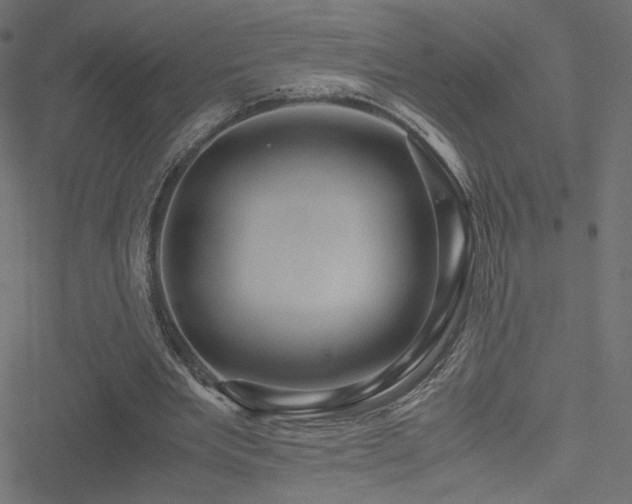 X0000051250485200506171139