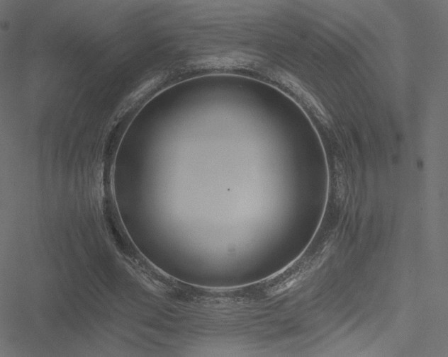 X0000051250486200506171139