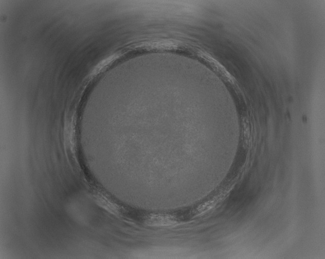 X0000051250487200506171139