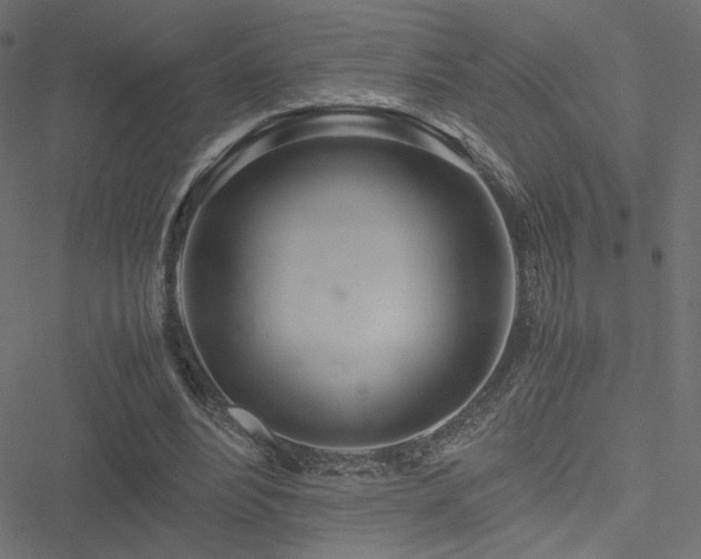 X0000051250488200506171139