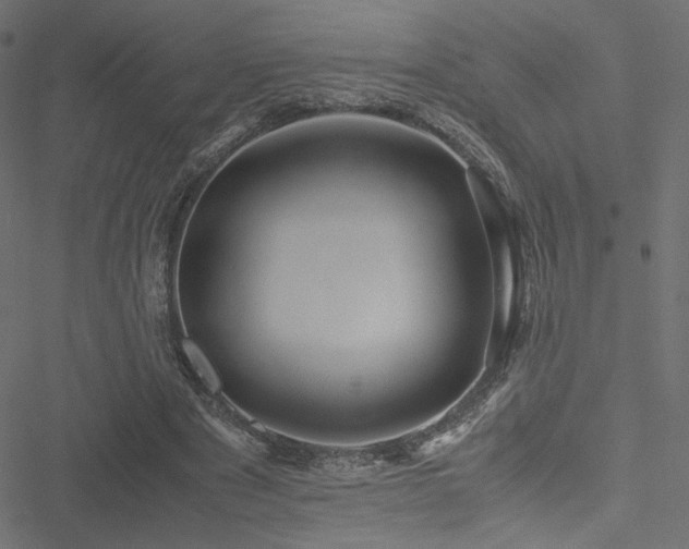 X0000051250489200506171139