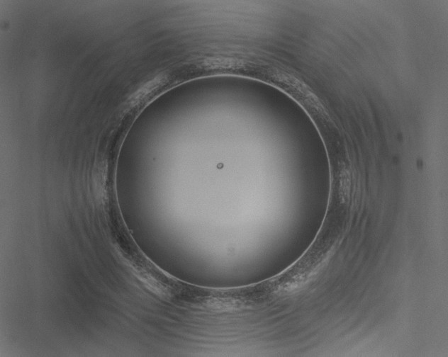 X0000051250490200506171139