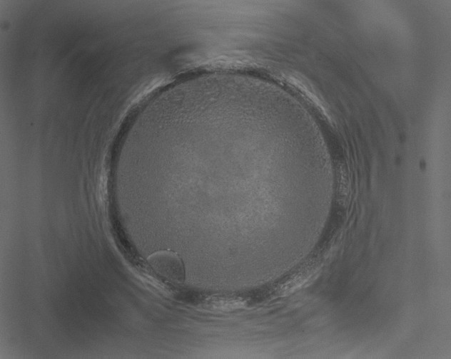 X0000051250491200506171139