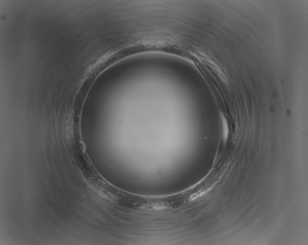 X0000051250492200506171139