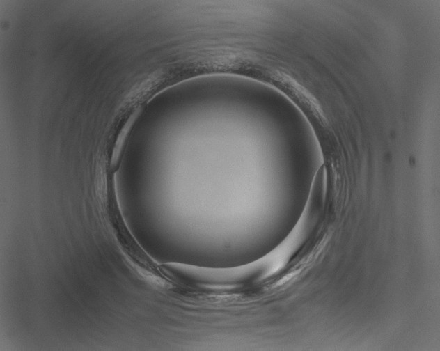 X0000051250493200506171139