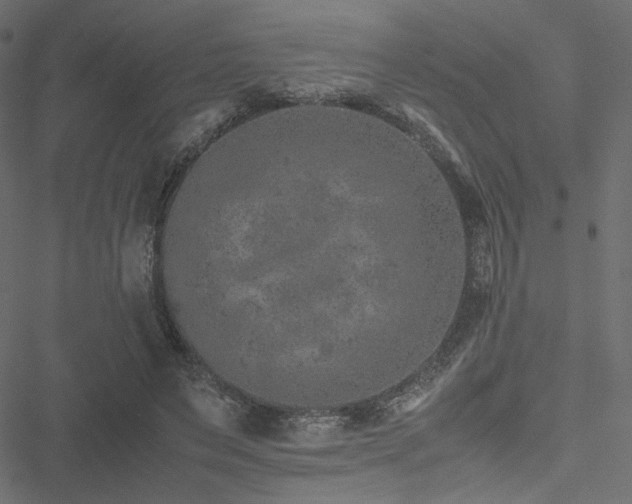 X0000051250495200506171139