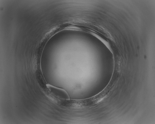 X0000051250496200506171139