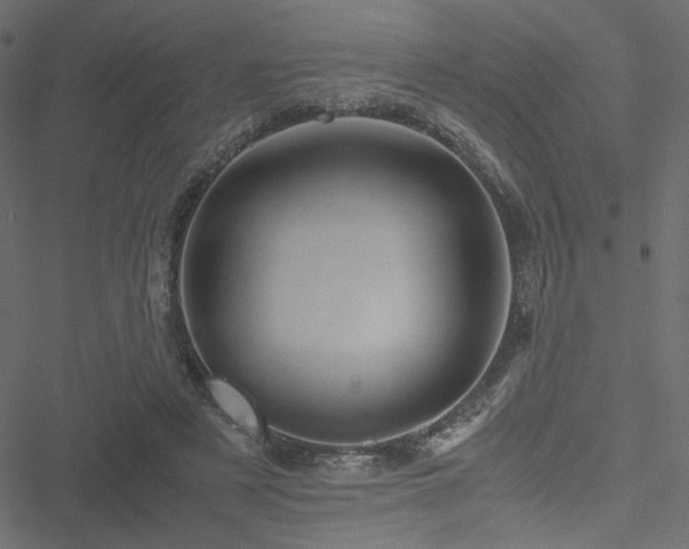 X0000051250497200506171139