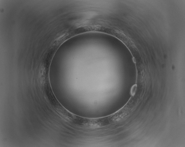 X0000051250498200506171139