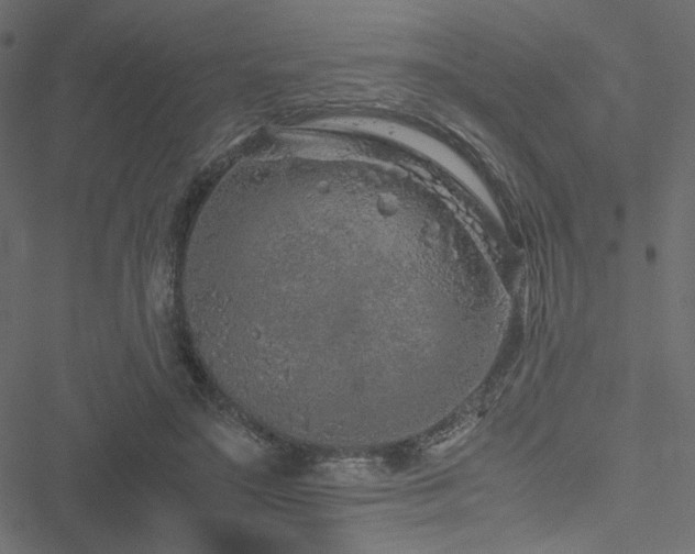 X0000051250499200506171139