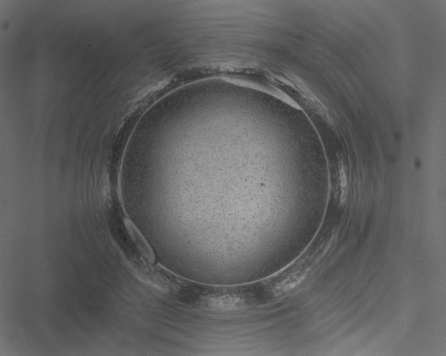 X0000051250500200506171139