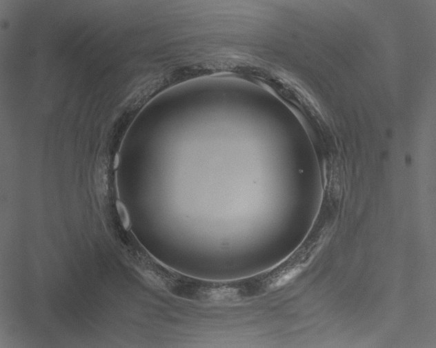 X0000051250501200506171139