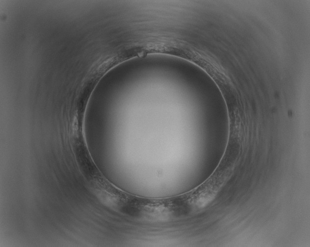 X0000051250502200506171139