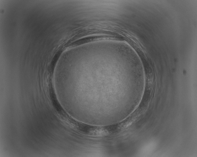 X0000051250503200506171139