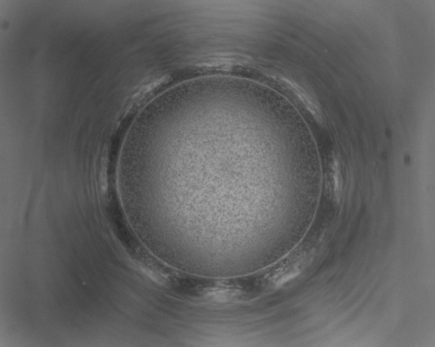 X0000051250504200506171139