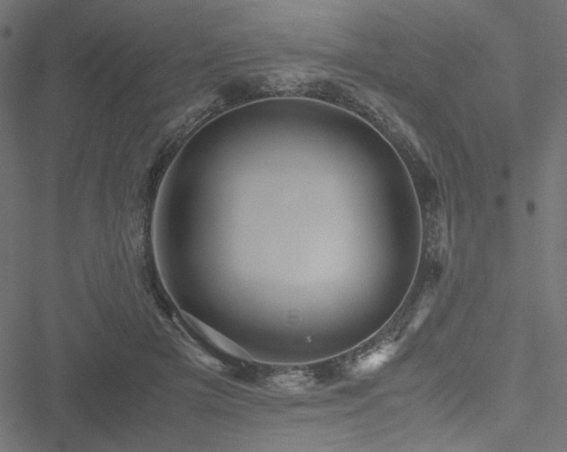 X0000051250505200506171139