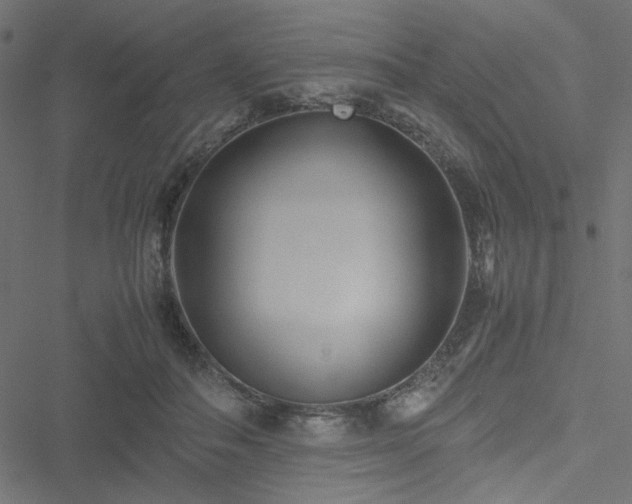 X0000051250506200506171139