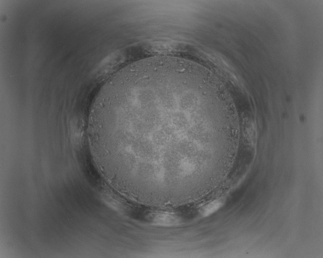 X0000051250507200506171139