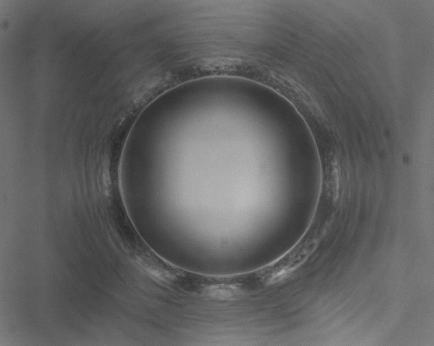 X0000051250508200506171139