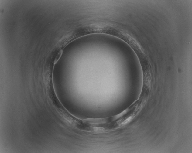 X0000051250509200506171139