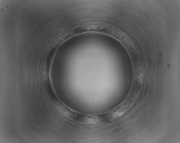 X0000051250510200506171139