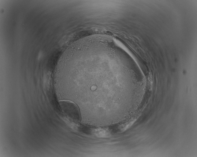 X0000051250511200506171139