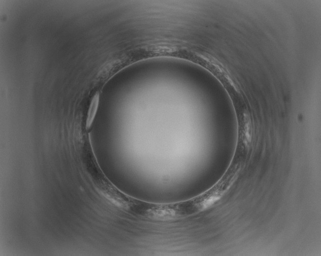 X0000051250512200506171139