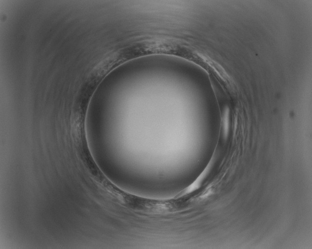 X0000051250513200506171139