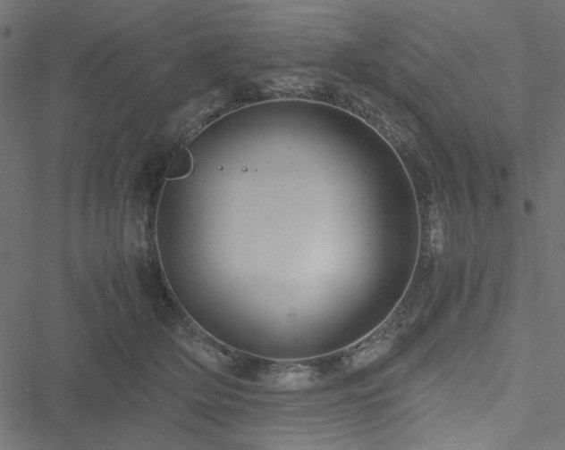 X0000051250514200506171139