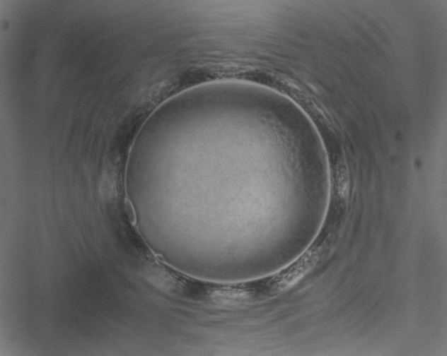 X0000051250515200506171139