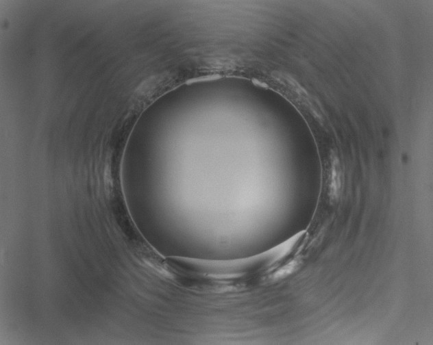 X0000051250516200506171139