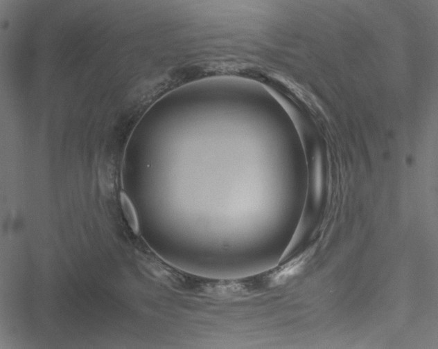 X0000051250517200506171139