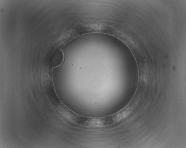 X0000051250518200506171139