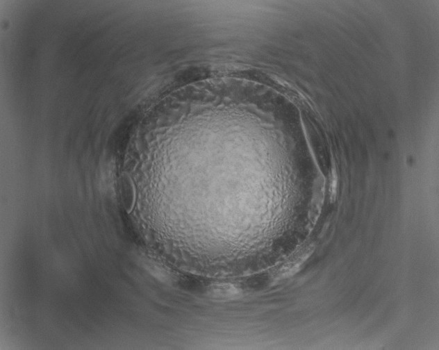 X0000051250519200506171139