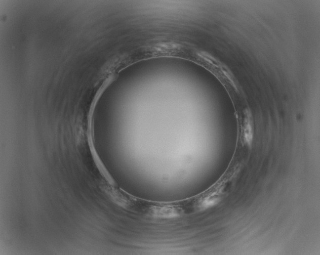 X0000051250520200506171139