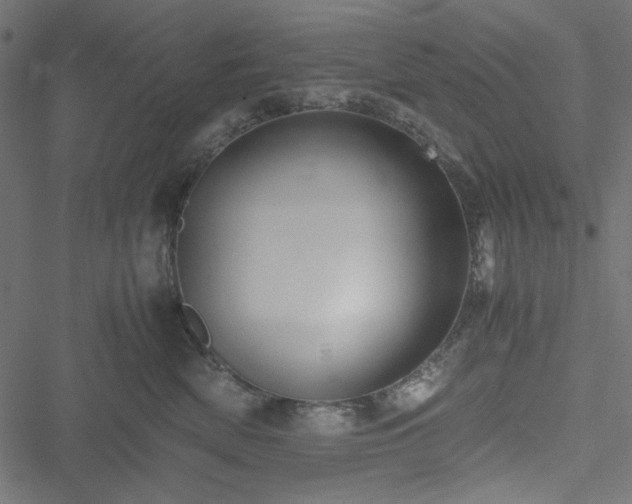 X0000051250522200506171139