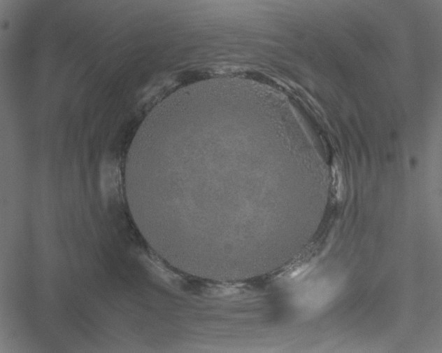 X0000051250523200506171139