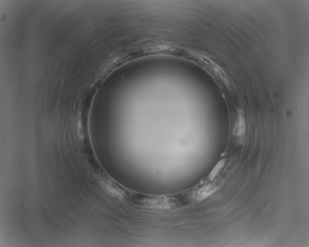 X0000051250524200506171139