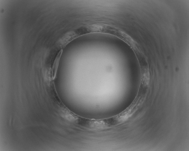 X0000051250525200506171139