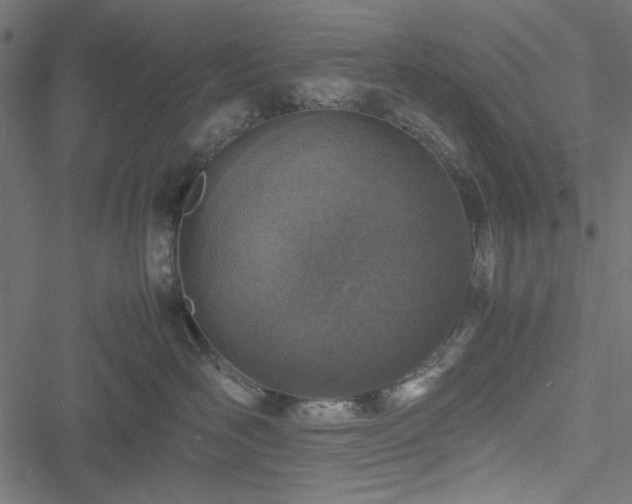 X0000051250526200506171139