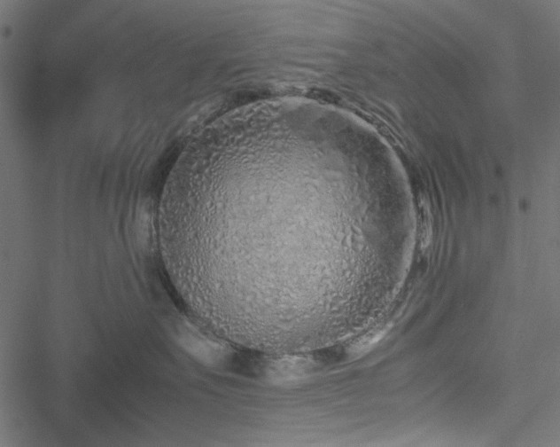 X0000051250527200506171139