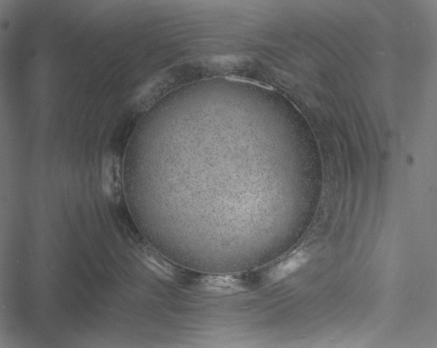 X0000051250528200506171139