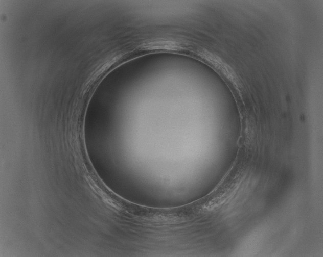 X0000051250529200506171138