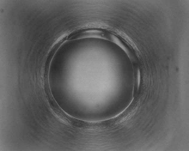 X0000051250530200506171138