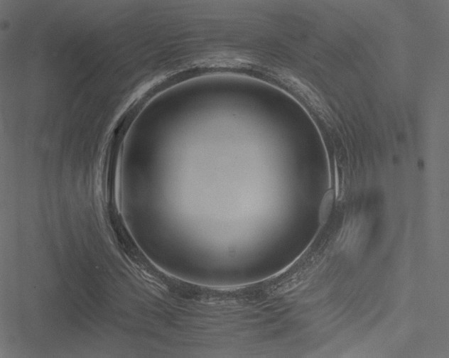 X0000051250531200506171138