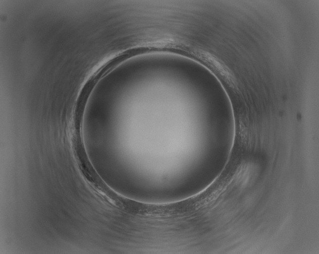 X0000051250532200506171138