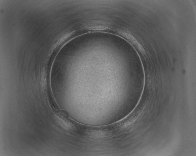 X0000051250533200506171138