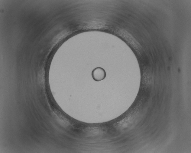 X0000051250534200506171138